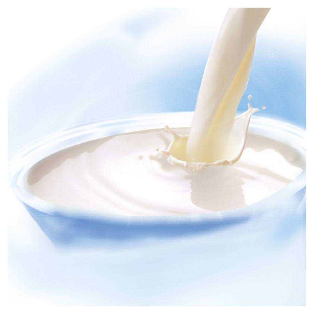 Cat Milk Y16732