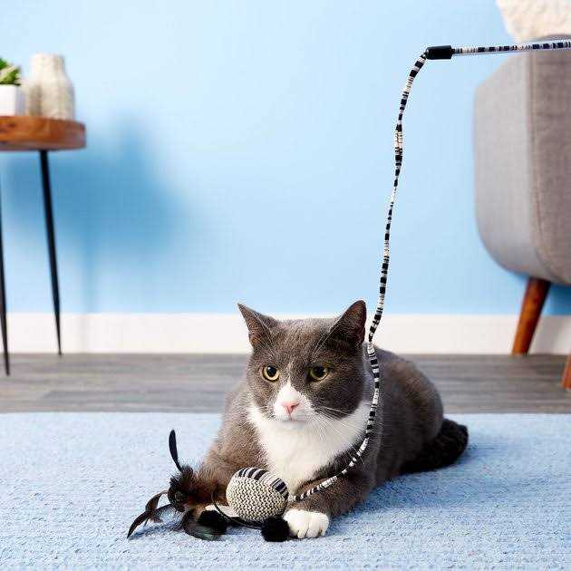 Cat Toy with Wand U4205