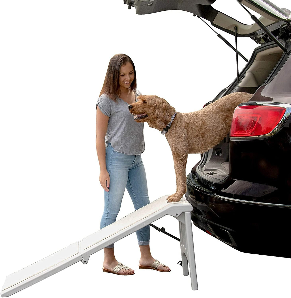 Pet Gear Free Standing Pet Ramp M437