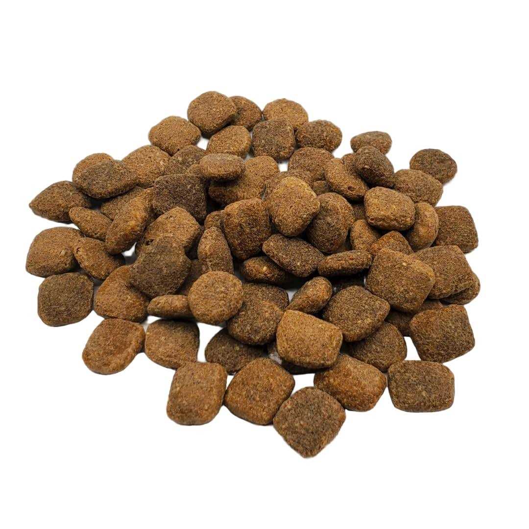 Chicken & Turkey Dry Dog Food N5723