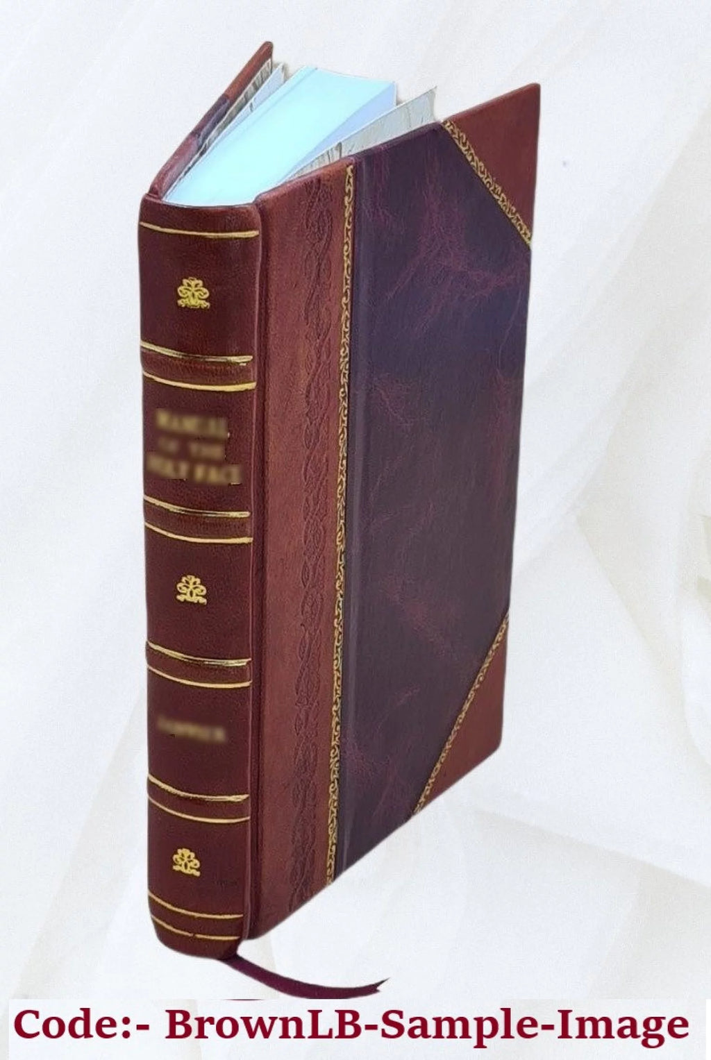 Étoiles Filantes Leather Bound S705