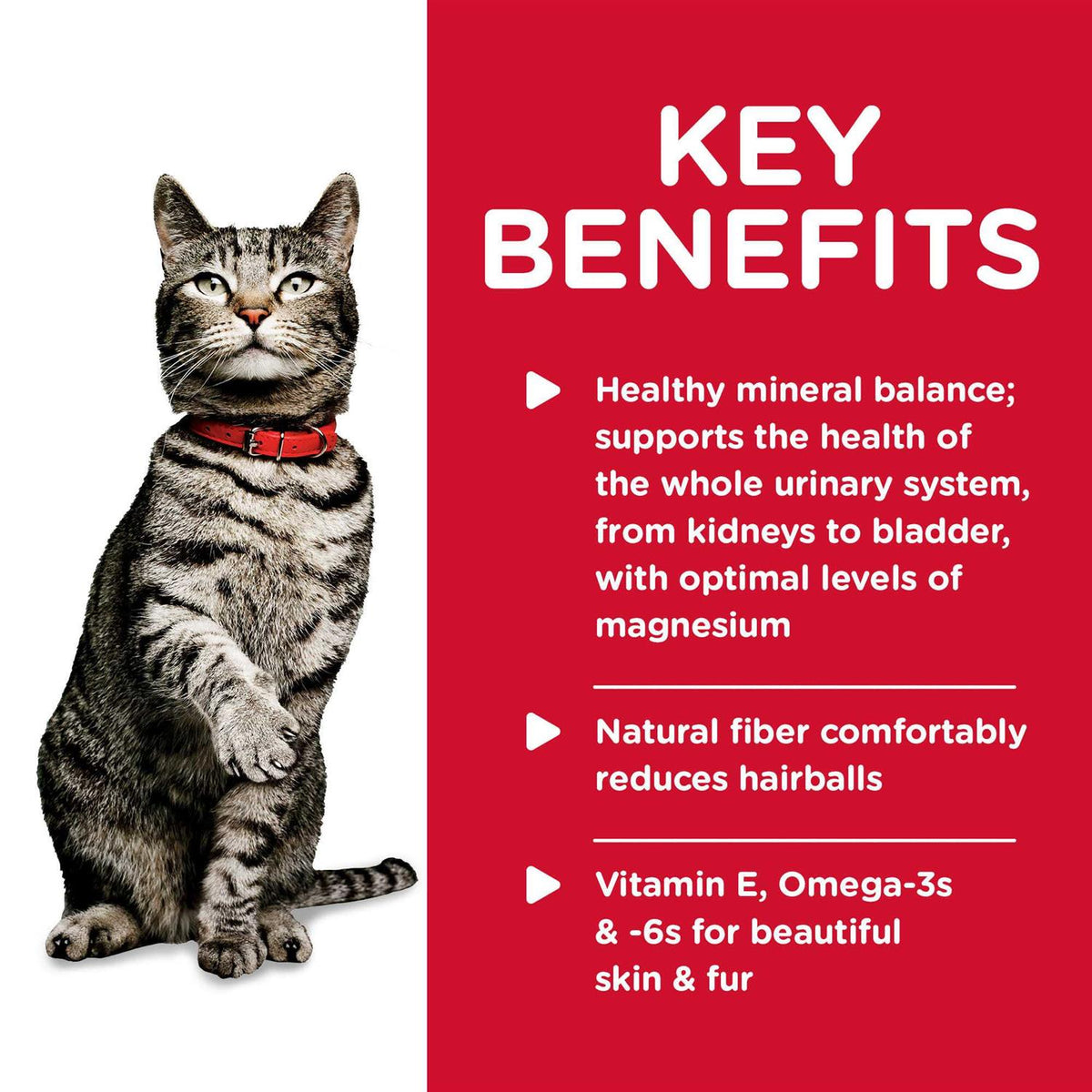 Adult Urinary Hairball Control Cat Food T187970