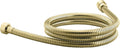 Polished Brass 60-Inch Metal Shower Hose F534