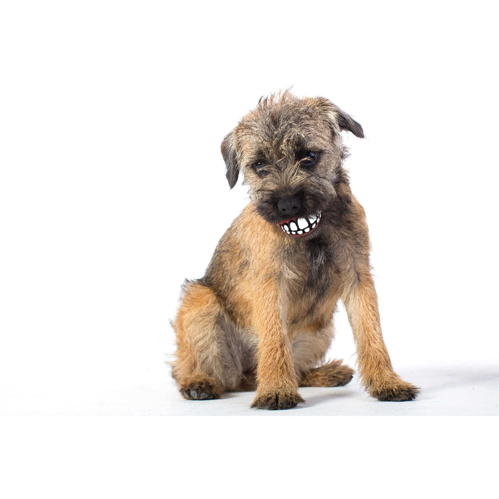 Dog Toy X801677