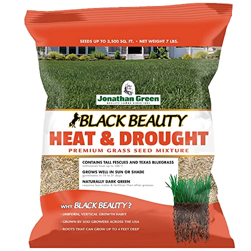 Black Beauty Heat & Drought Resistant Grass Seed (7 lb) P13489
