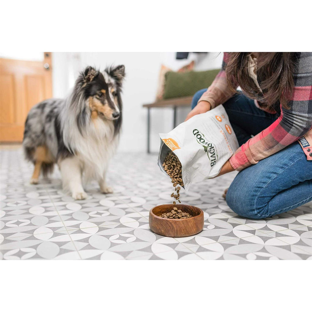 Pet Food Z415396