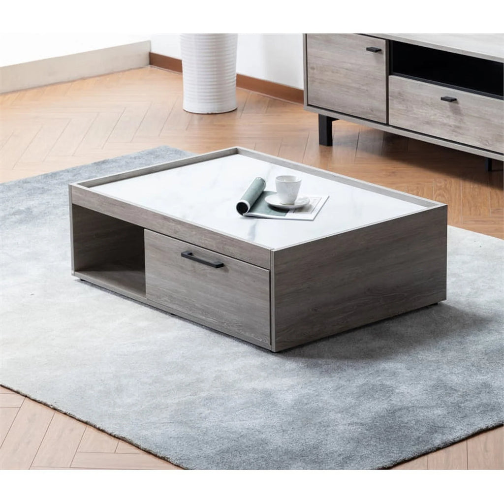 2-Piece Sleeper Sofa and Coffee Table Set K882