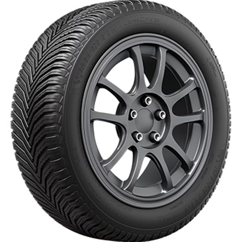 All Weather 225/50R17 98V XL Tire V246537