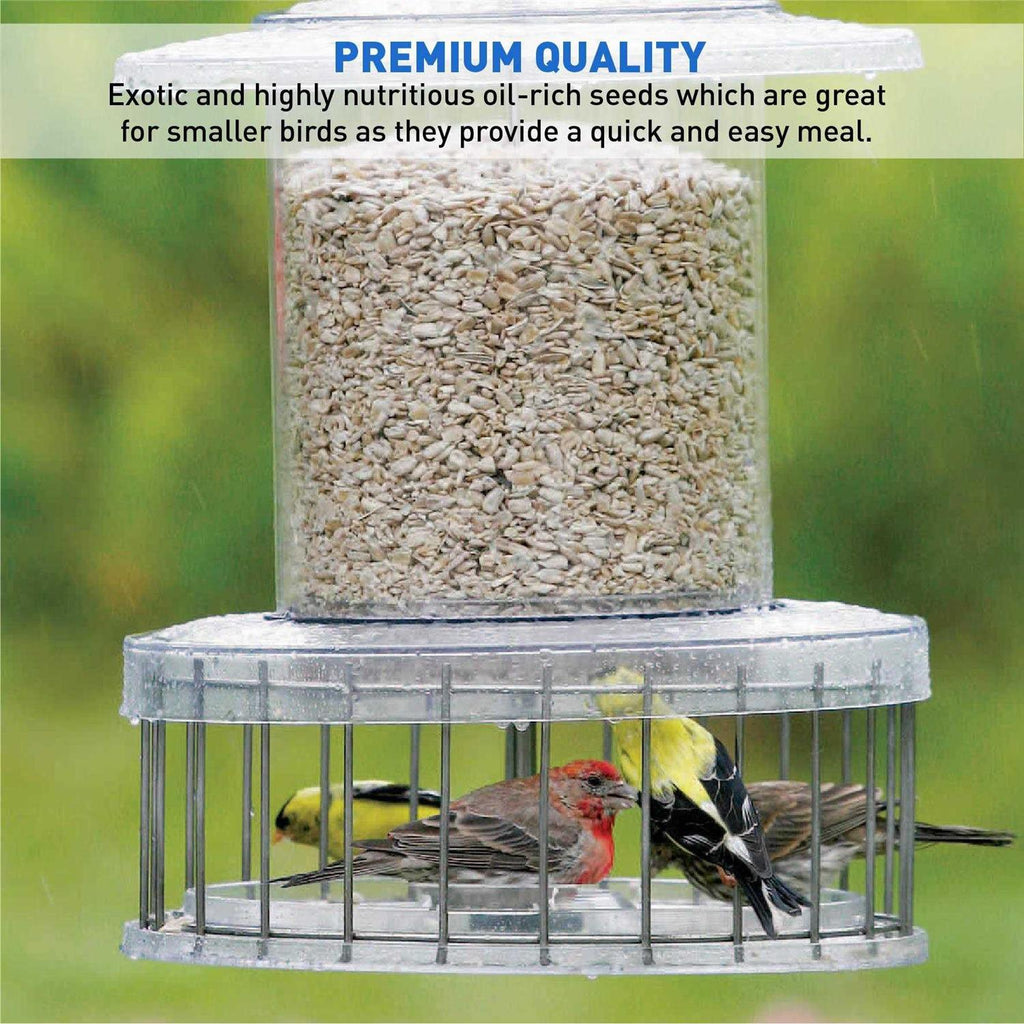 Sunflower Kernels Wild Bird Food 50 lb K36708