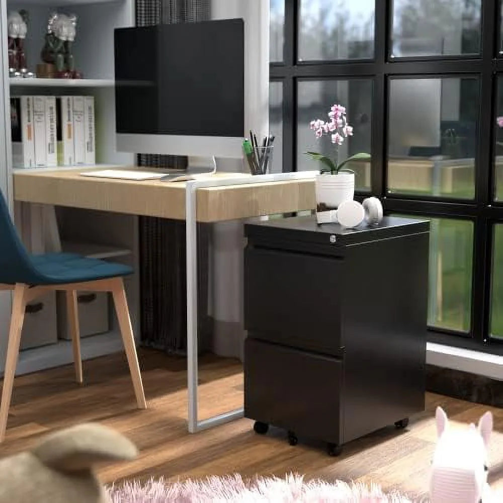 Black 2 Drawer Metal File Cabinet with Lock O815855