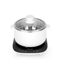 2.5L 1200W Hot Pot & Steamer W619782
