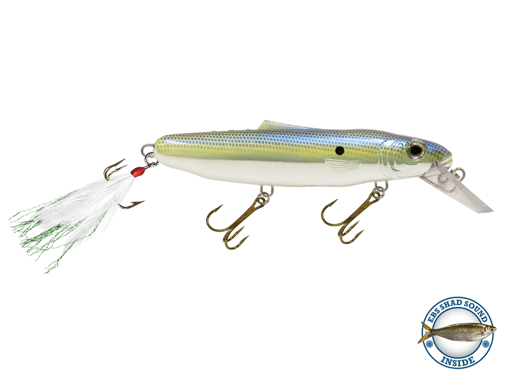 Striker 173 W267054