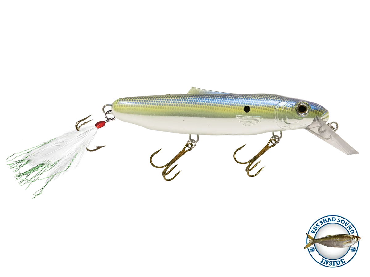 Striker 173 W267054