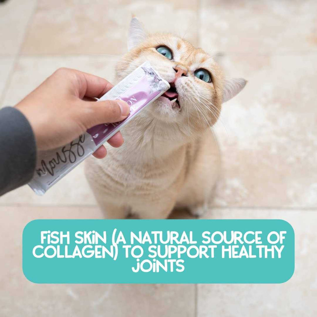 Variety Pack Mousse Cat Treats L67643