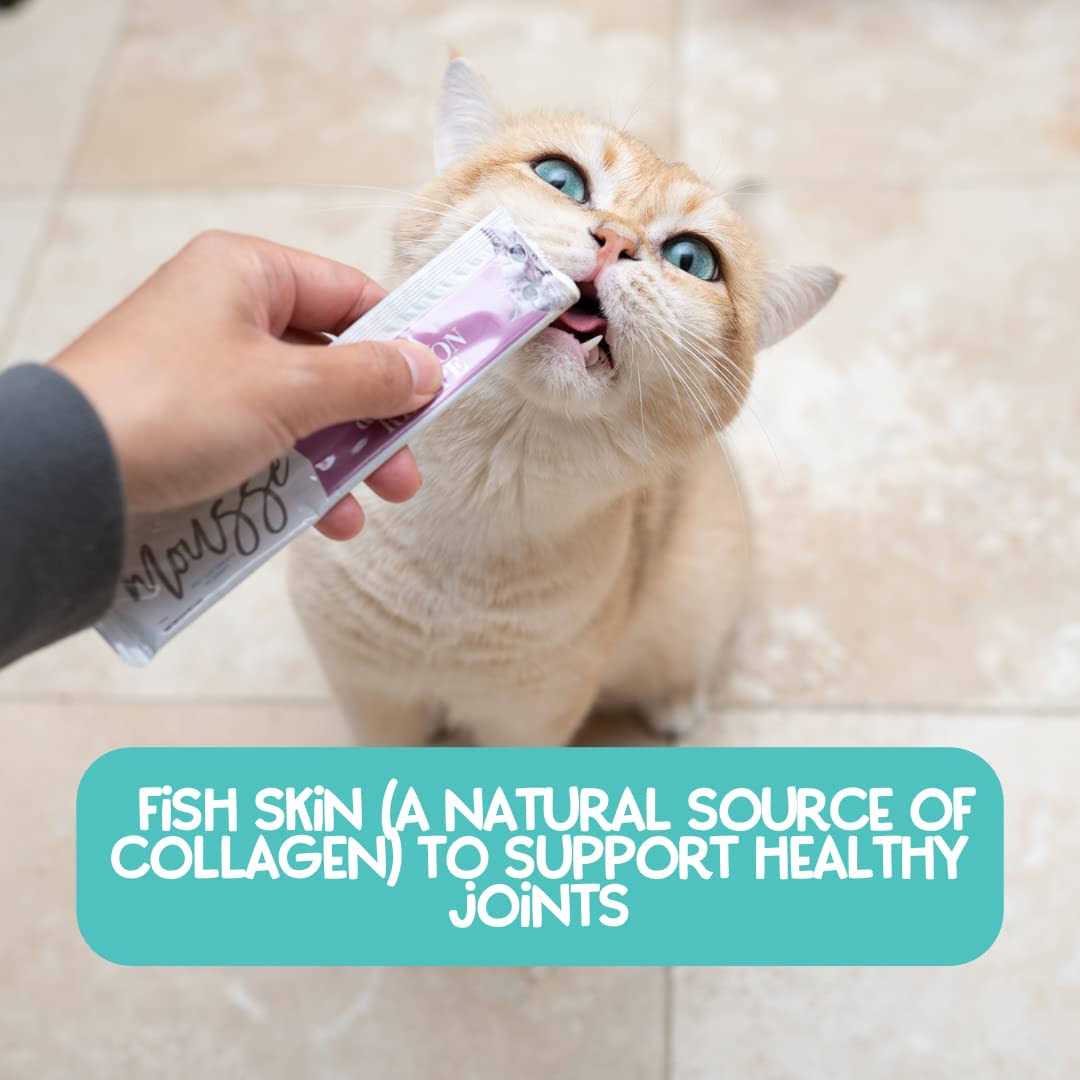 Variety Pack Mousse Cat Treats L67643