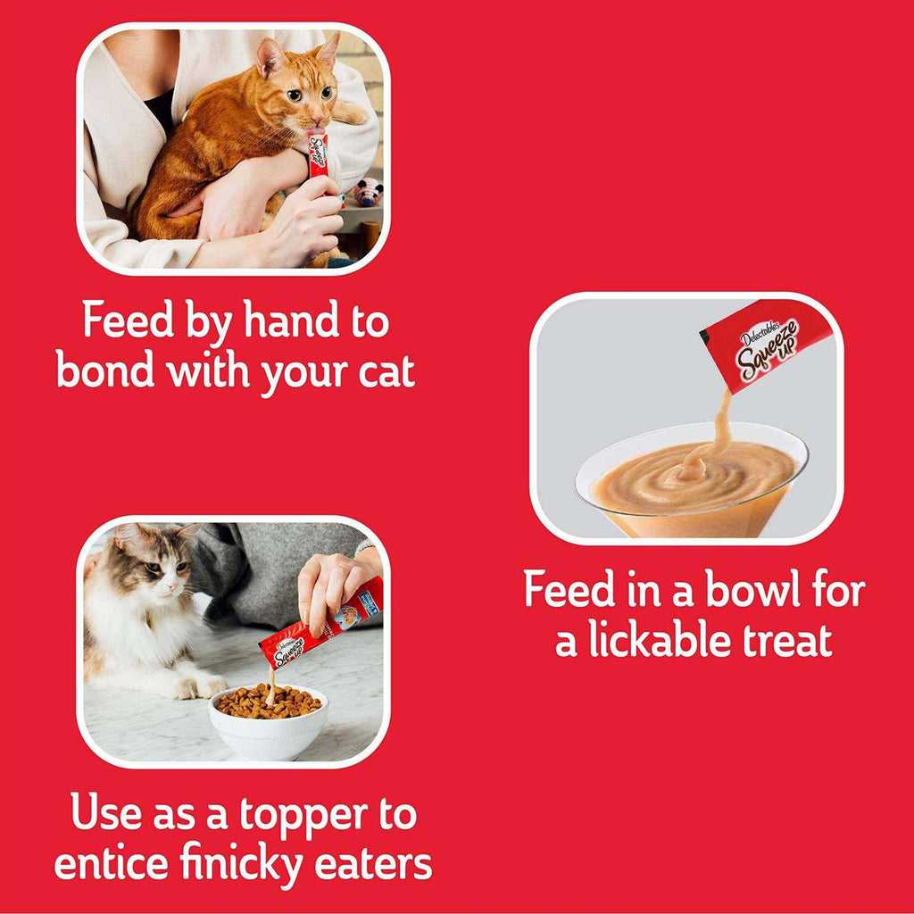 Squeeze Up Cat Treats A4616