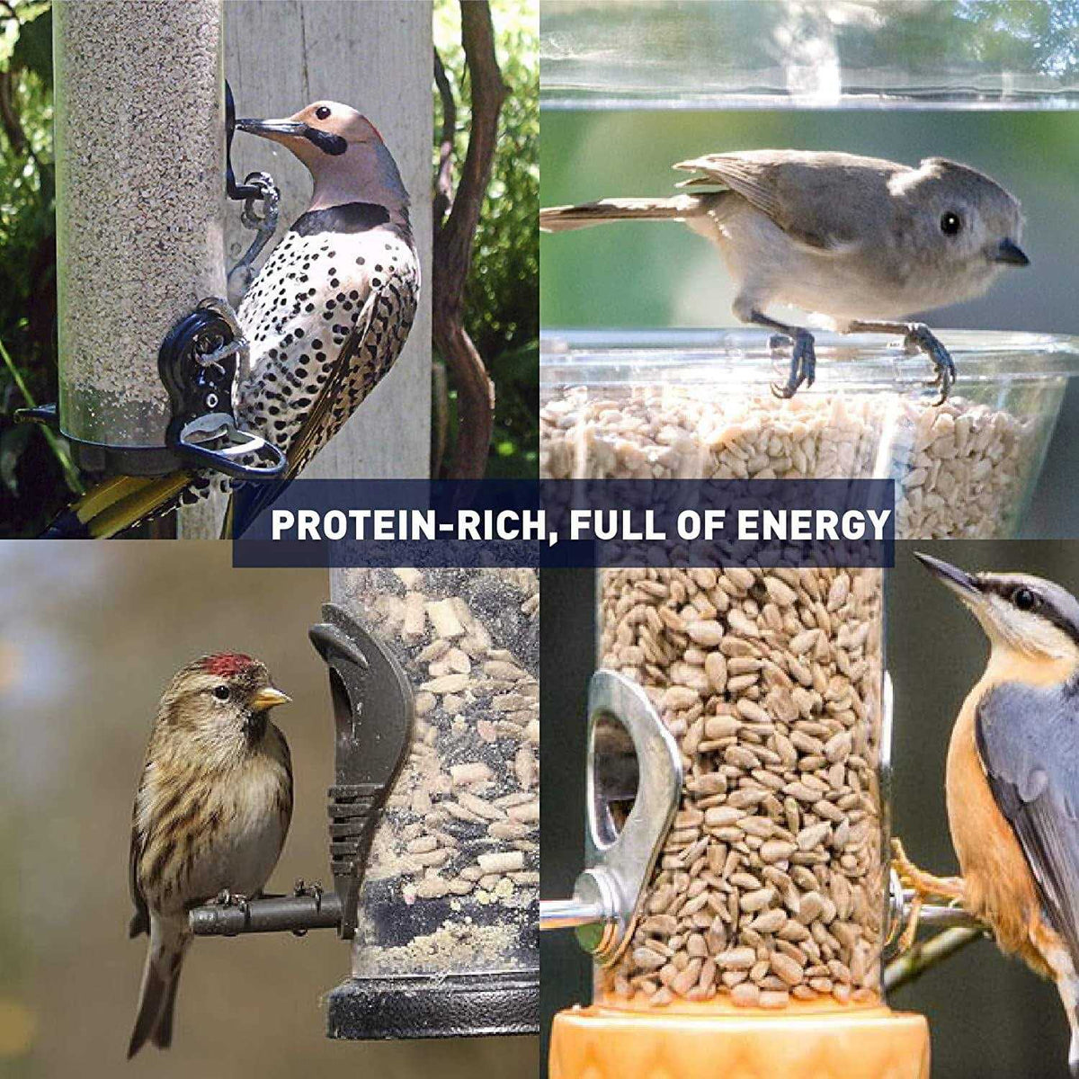 Sunflower Kernels Wild Bird Food 50 lb K36708