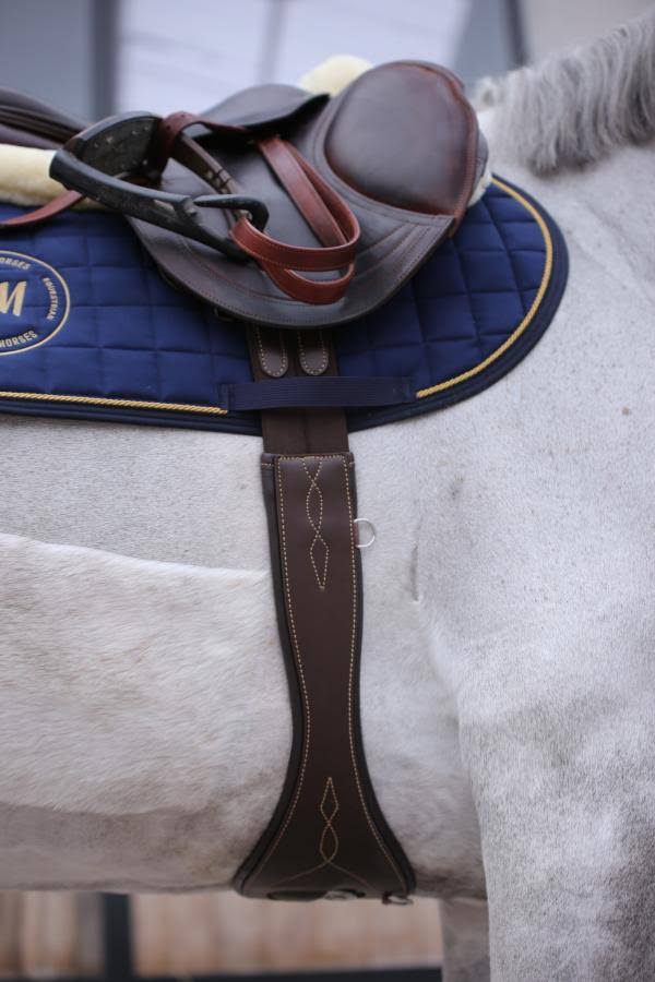 Anatomical Saddle Girth N699556