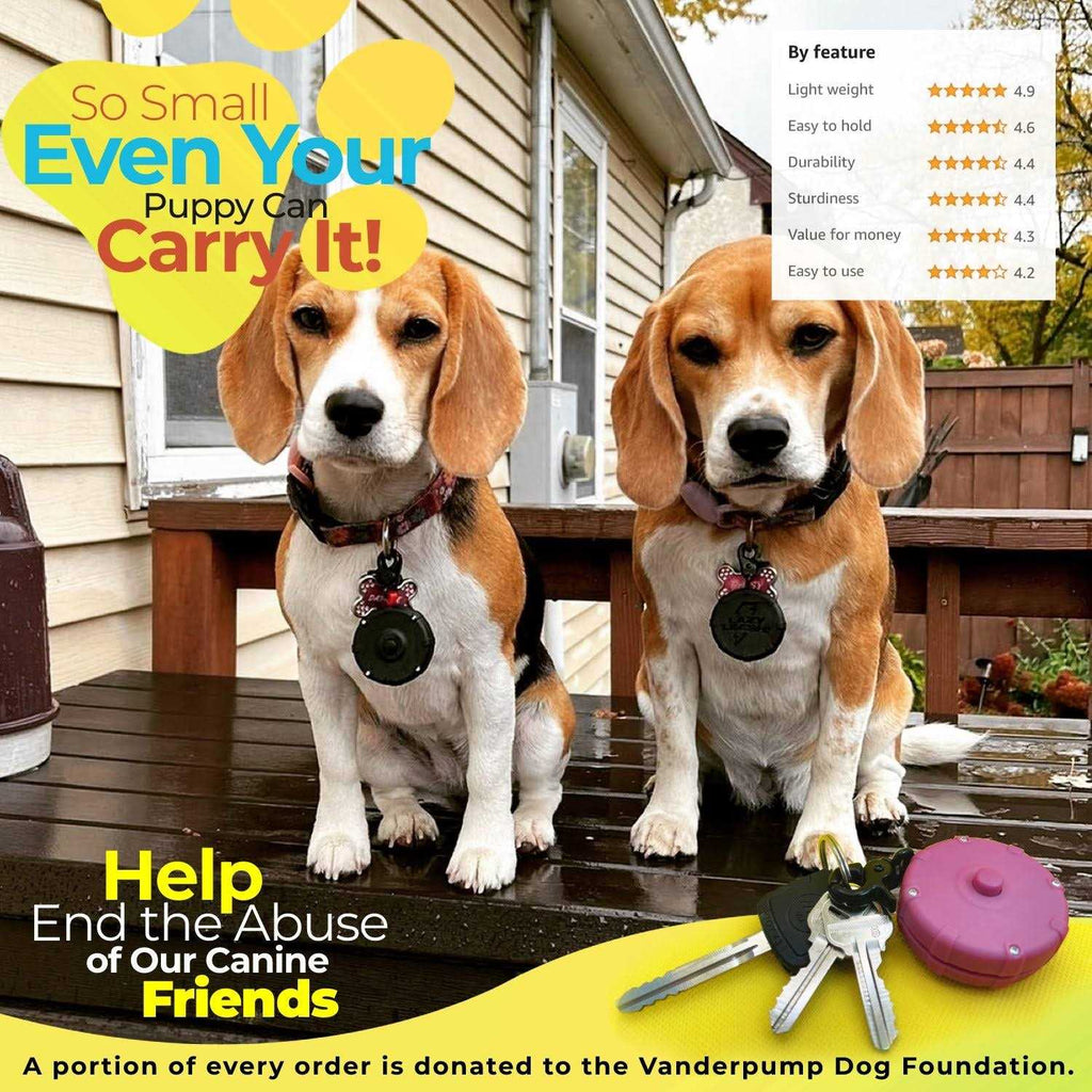 Wearable Power Leash E737