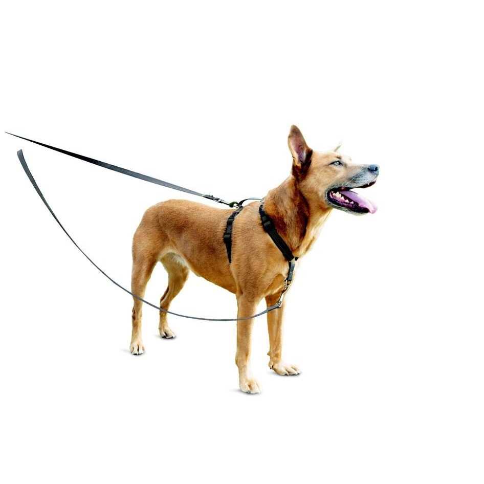 3 in 1 Harness with Leash X8093