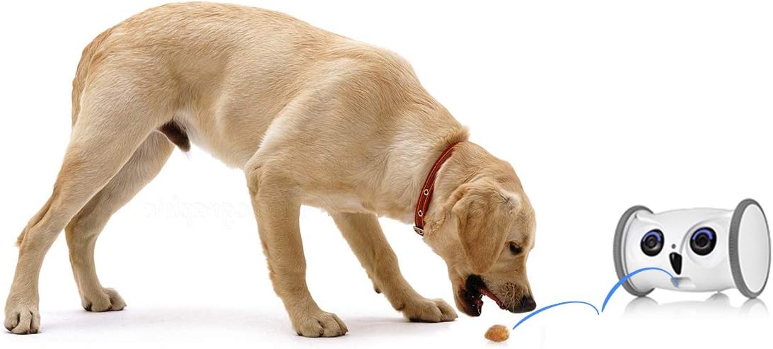 Full HD Pet Camera with Treat Dispenser N196747