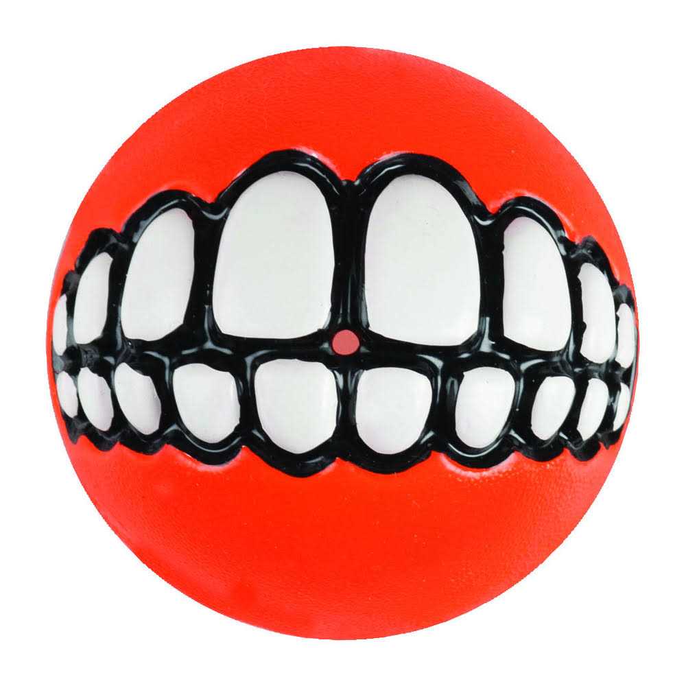 Dog Toy X801677