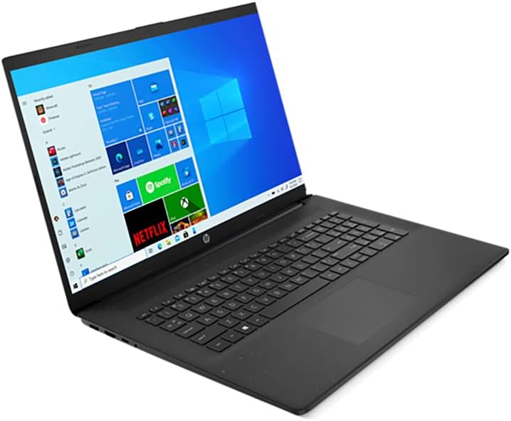 17.3 HD+ Laptop with 16GB RAM, 128GB PCIe SSD + 1TB HDD, AMD Radeon, Win 10 Home G3782