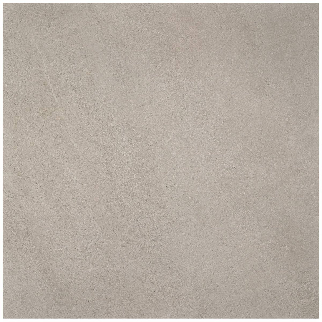 Matte Porcelain Floor and Wall Tile (2 pieces/17.43 Sq. ft./Case) Z91077