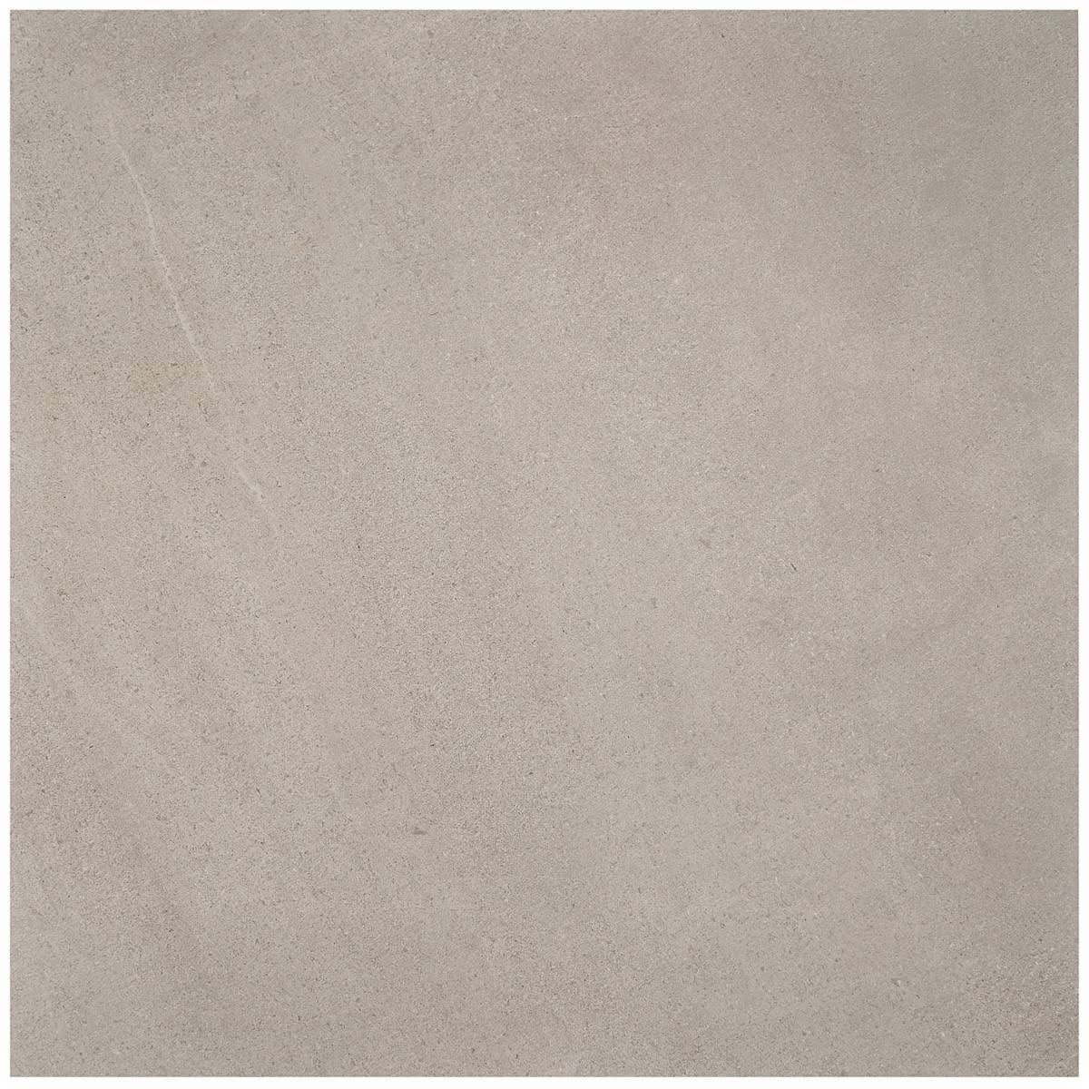 Matte Porcelain Floor and Wall Tile (2 pieces/17.43 Sq. ft./Case) Z91077