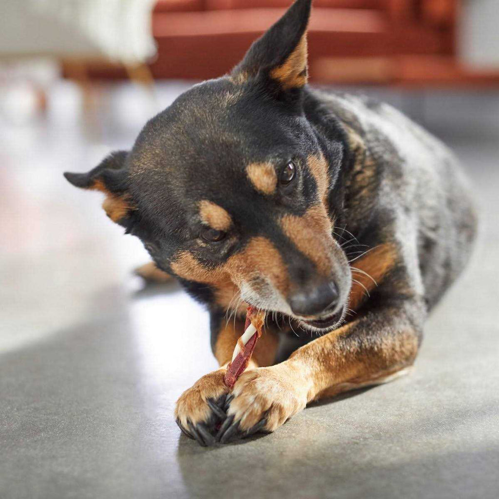 Triple Flavor Rawhide Twist Dog Treats J347