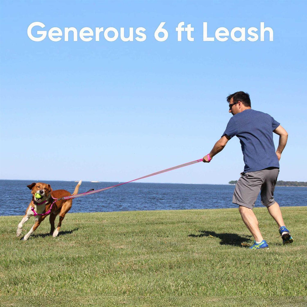 6 ft Dog Leash S3736