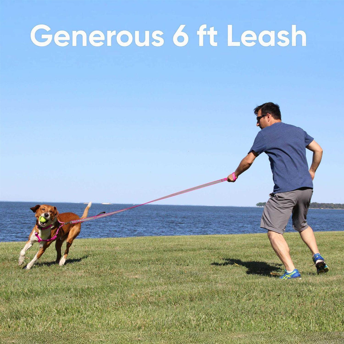 6 ft Dog Leash S3736