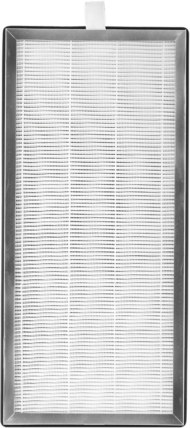 2 Pack H13 True HEPA Replacement Filter with Activated Carbon Filter G4570