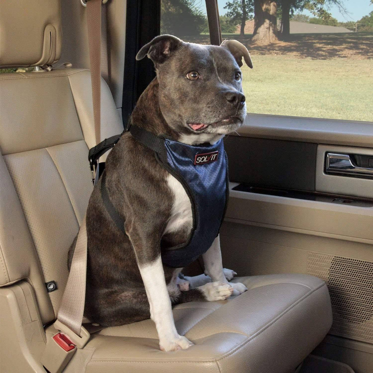 Deluxe Car Safety Harness Large T130839