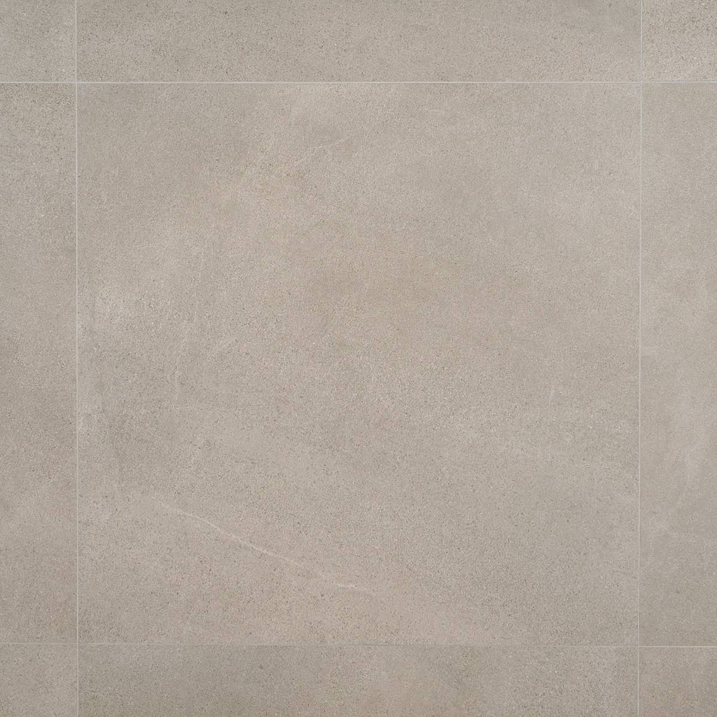 Matte Porcelain Floor and Wall Tile (2 pieces/17.43 Sq. ft./Case) Z91077