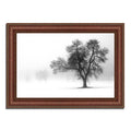 Framed Photograph Print K635