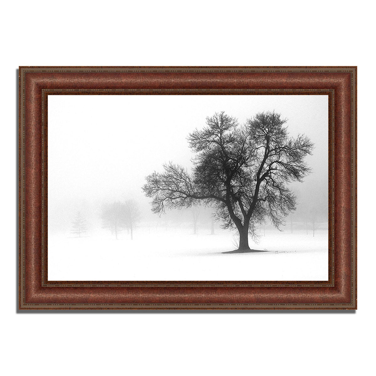 Framed Photograph Print K635