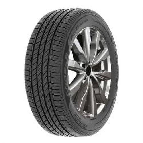 225/65R17 102H Tire V376