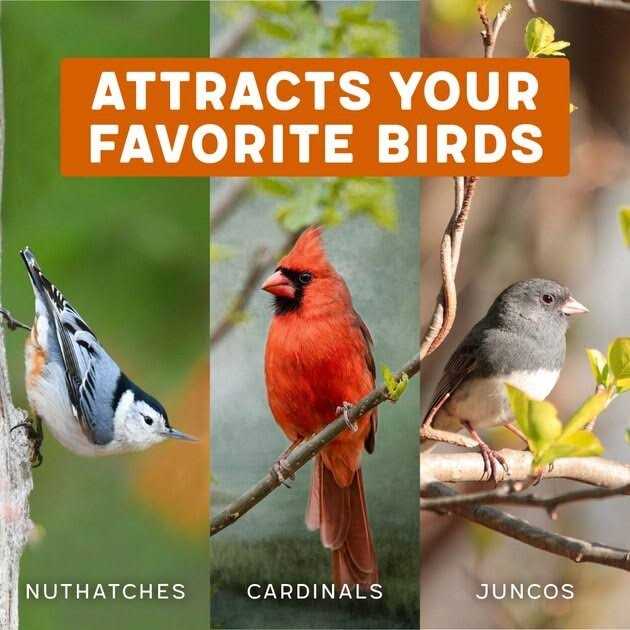 Hot Pepper Blend Bird Food A684