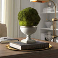 Preserved Moss Topiary in Urn Dark Gray/Silver G415632