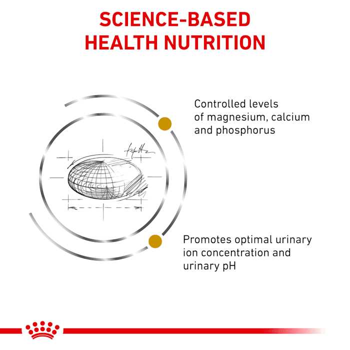 Veterinary Diet Cat Food B111
