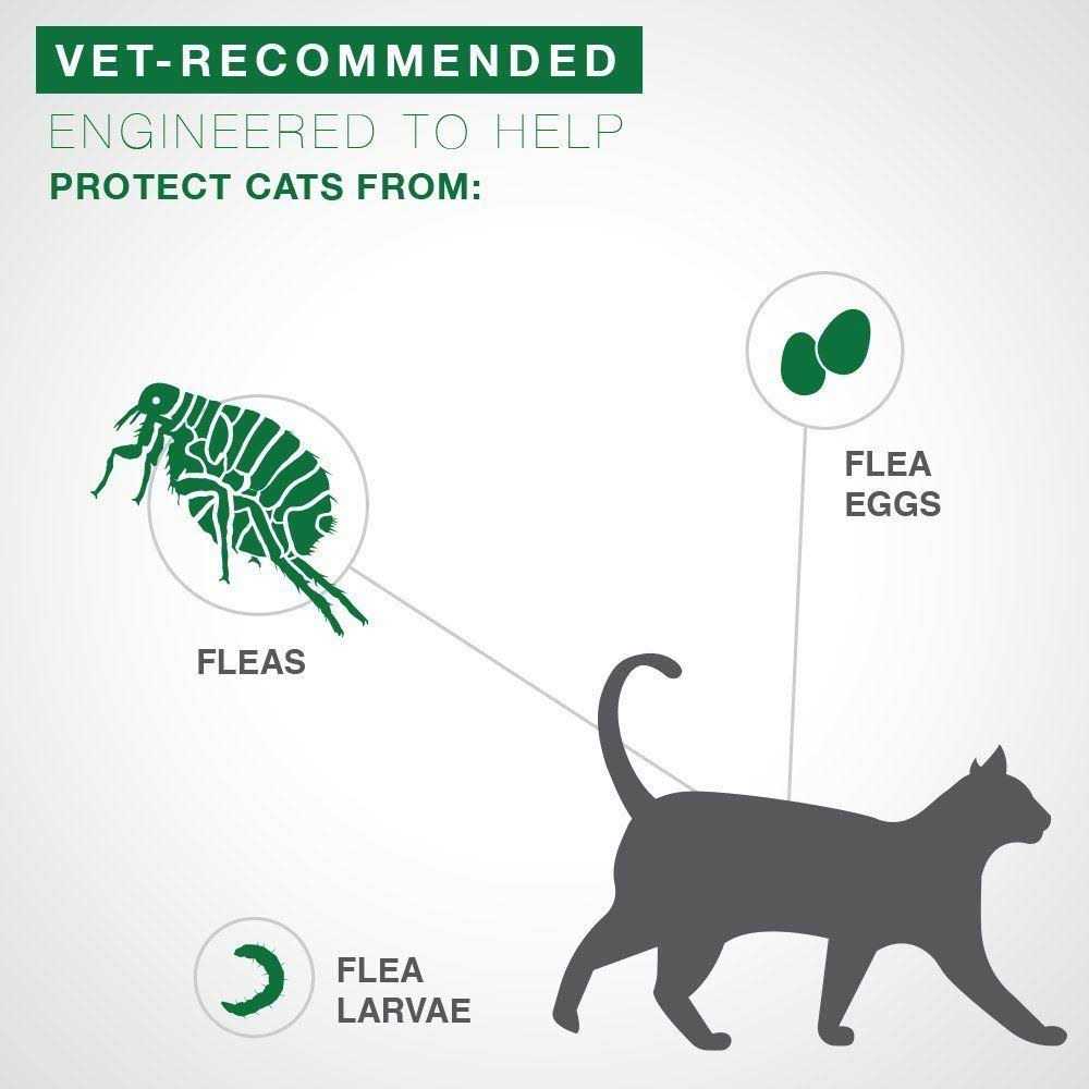 Flea Treatment Cats D314