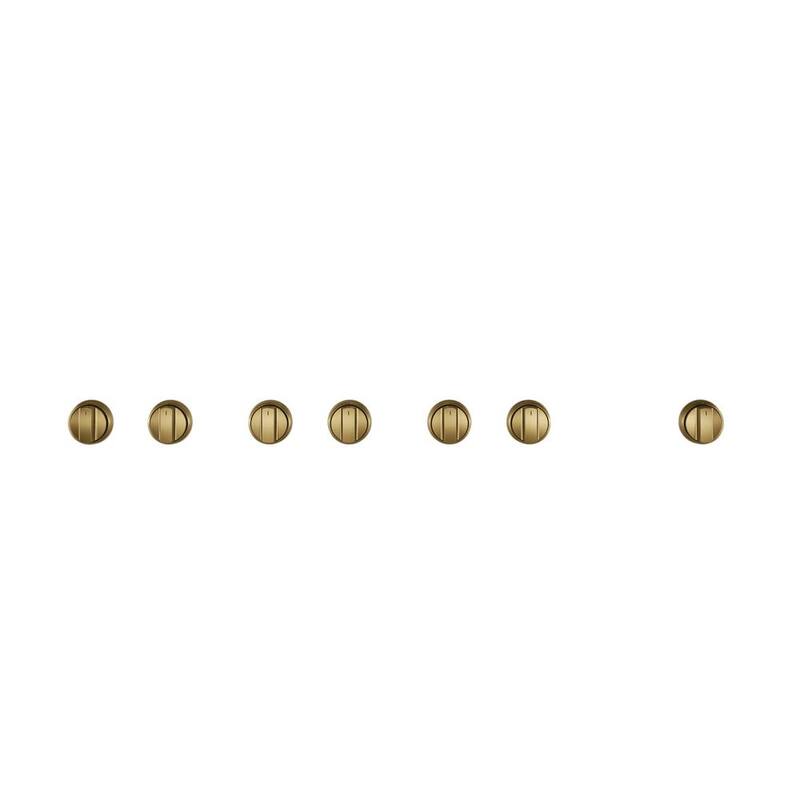 Range and Rangetop Handle and Knob Kit in Brushed Brass R53416