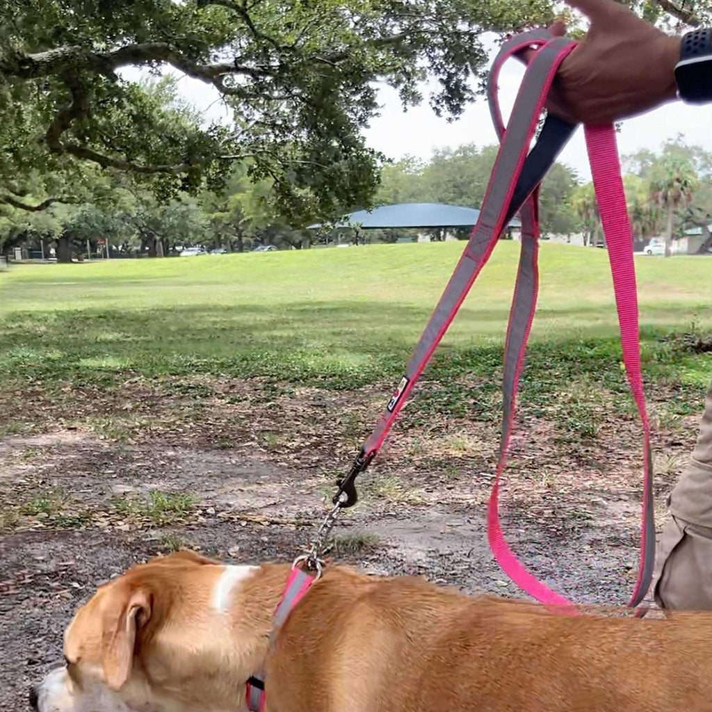 6 ft Dog Leash S3736