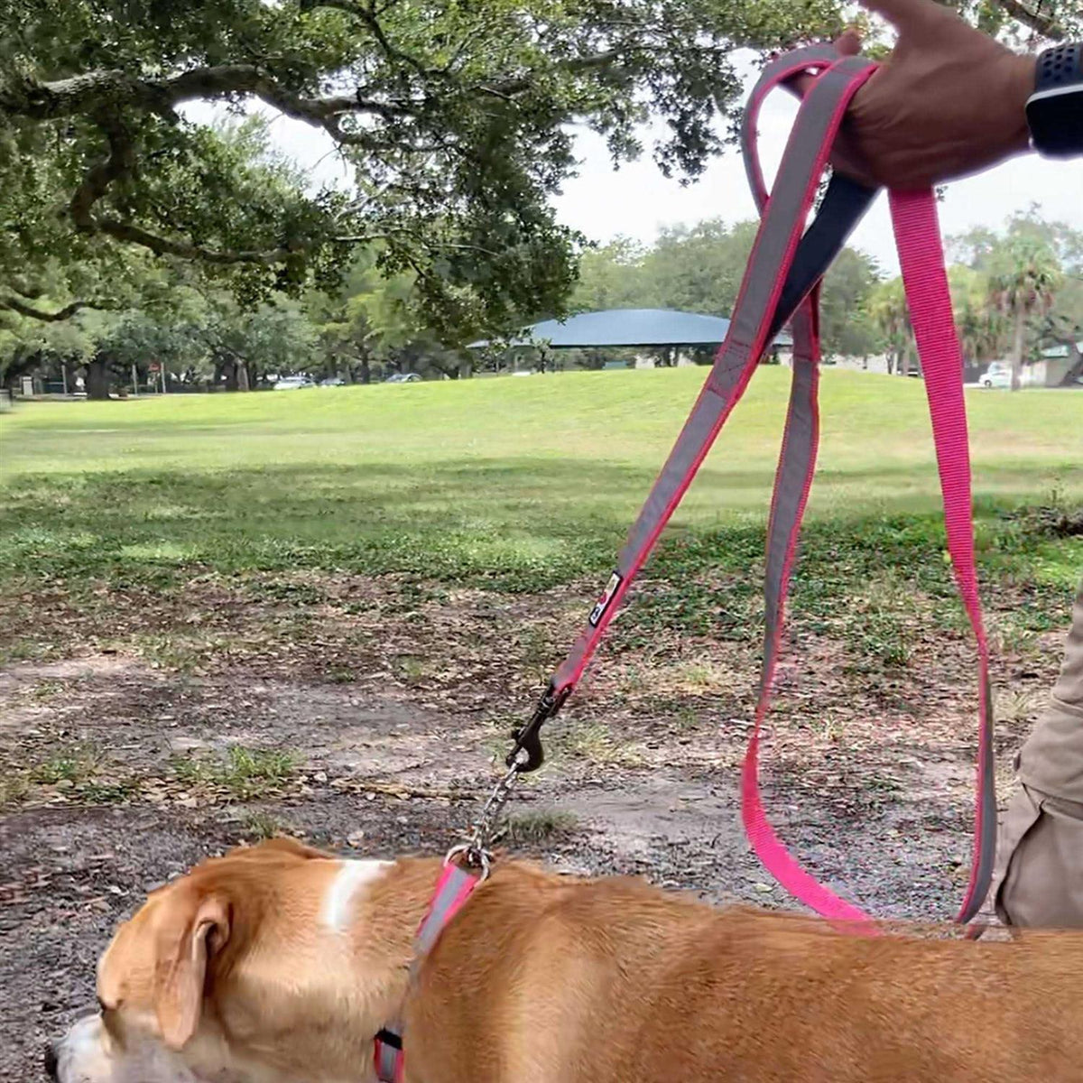 6 ft Dog Leash S3736