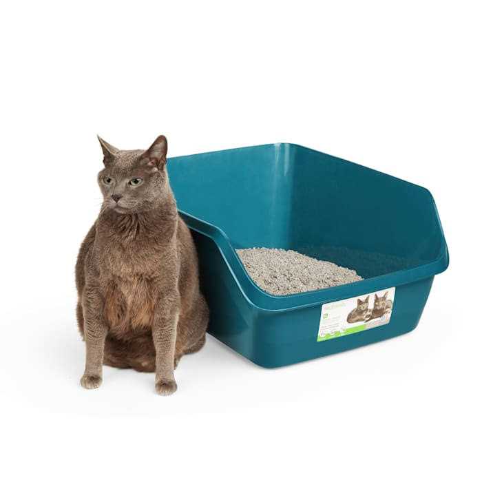 High-Back Litter Box V57161