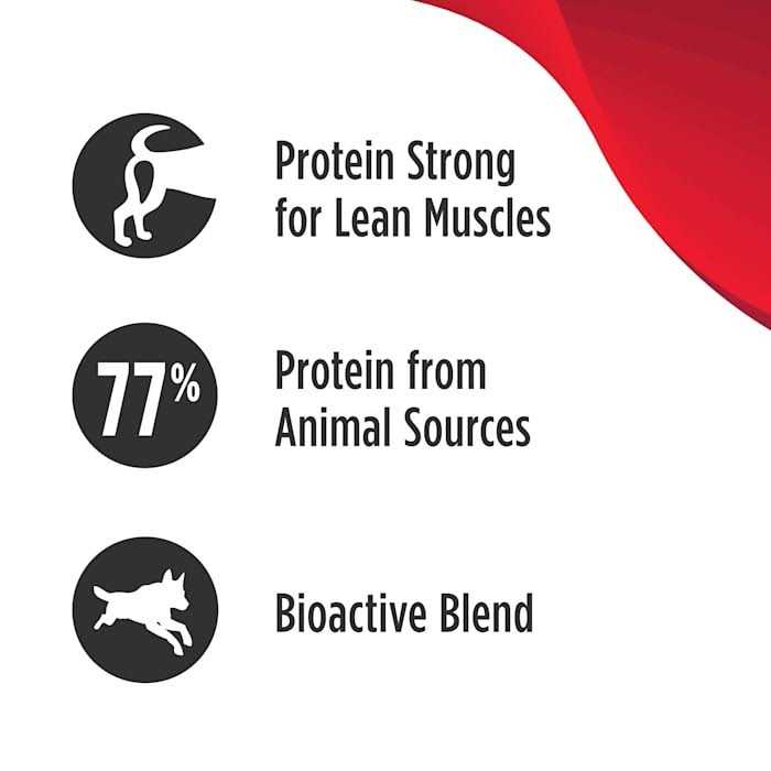 Salmon Dry Dog Food F51635