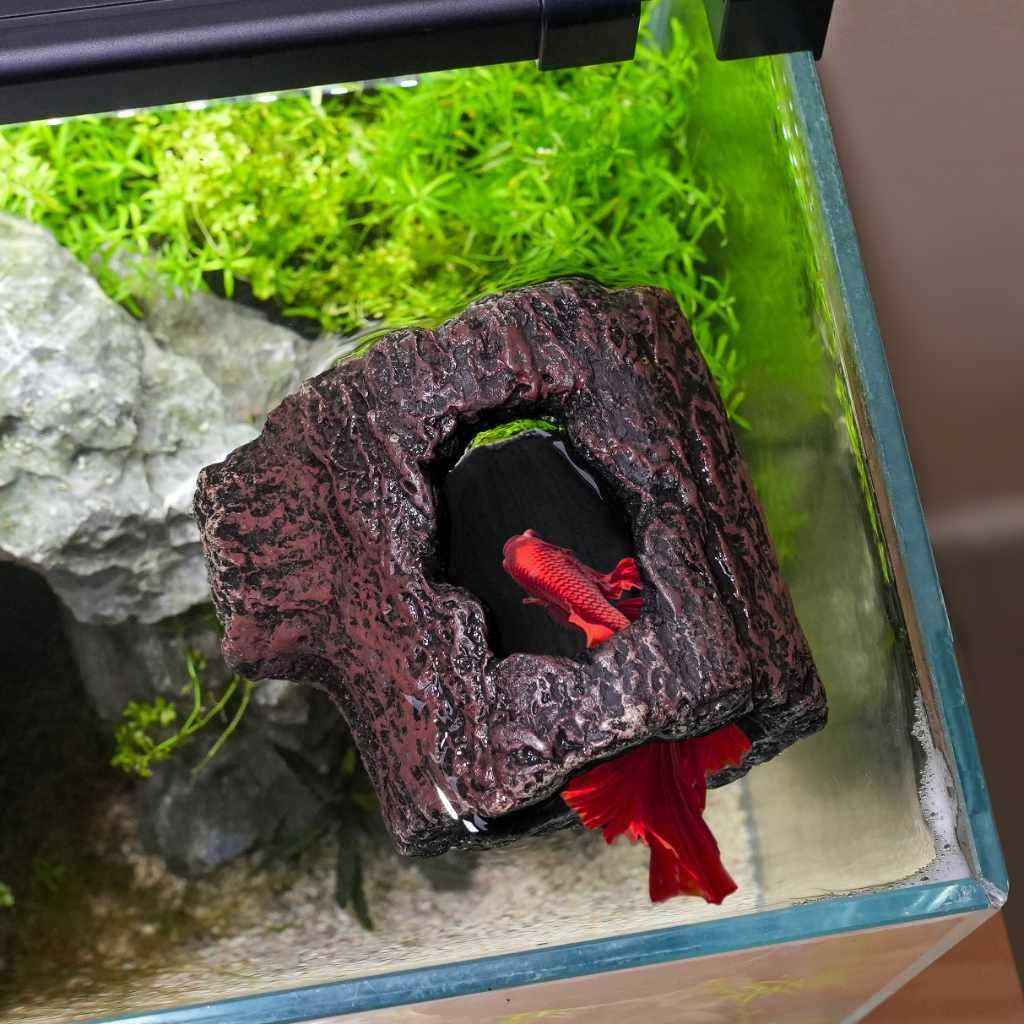 Betta Floating Log L8707