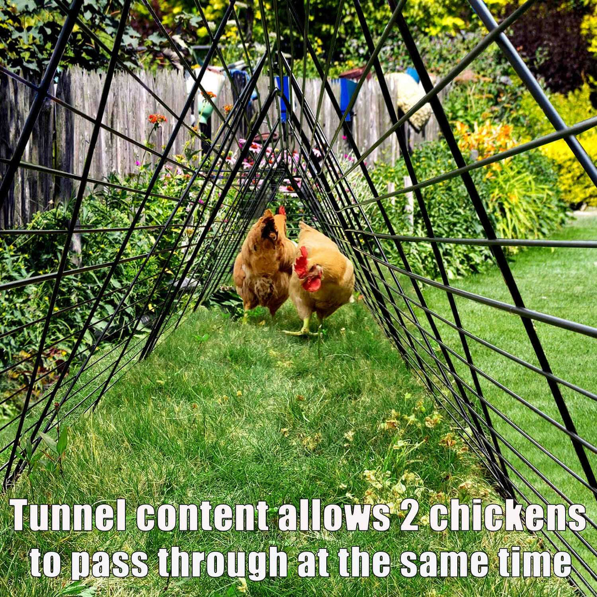 Chicken Tunnels for Yard A439