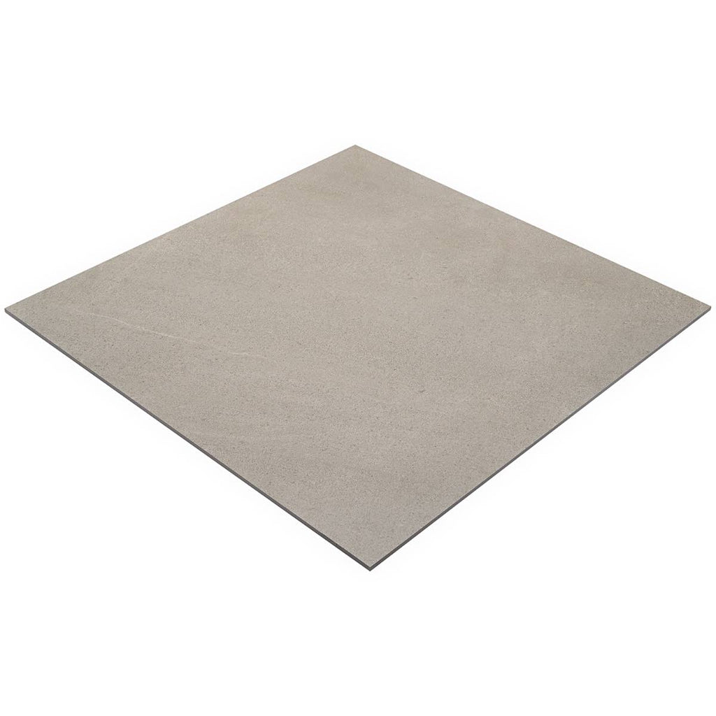 Matte Porcelain Floor and Wall Tile (2 pieces/17.43 Sq. ft./Case) Z91077